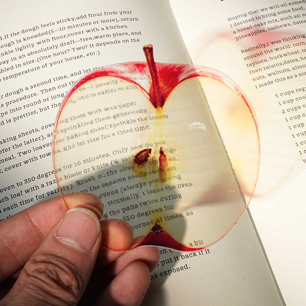 Новая изящная закладка в виде  – обзор и цена Dried Flower Bookmark