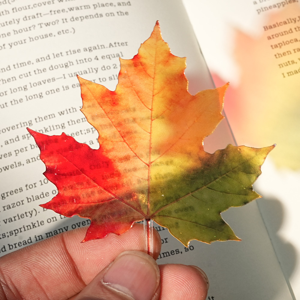 Новая изящная закладка в виде  – обзор и цена Dried Flower Bookmark